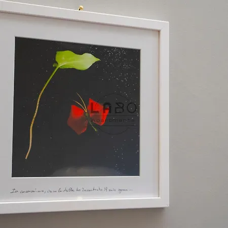 Agape In بيت ضيافة تروبيا