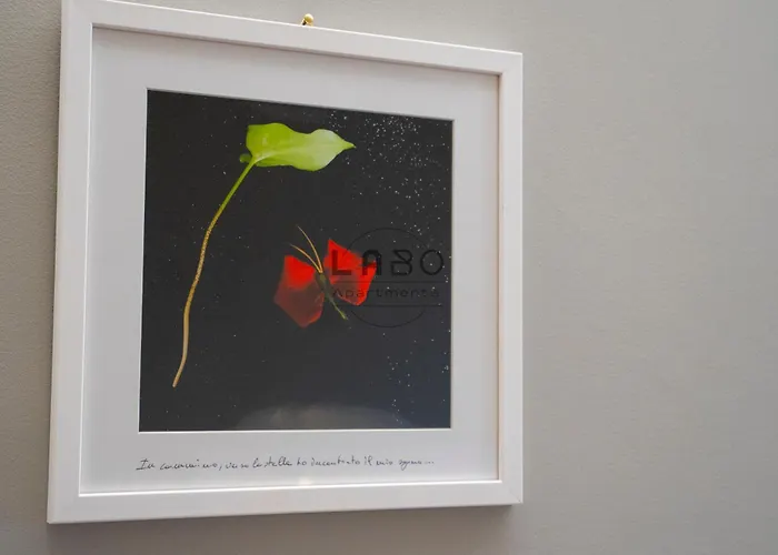 Agape In ゲストハウス トロペーア